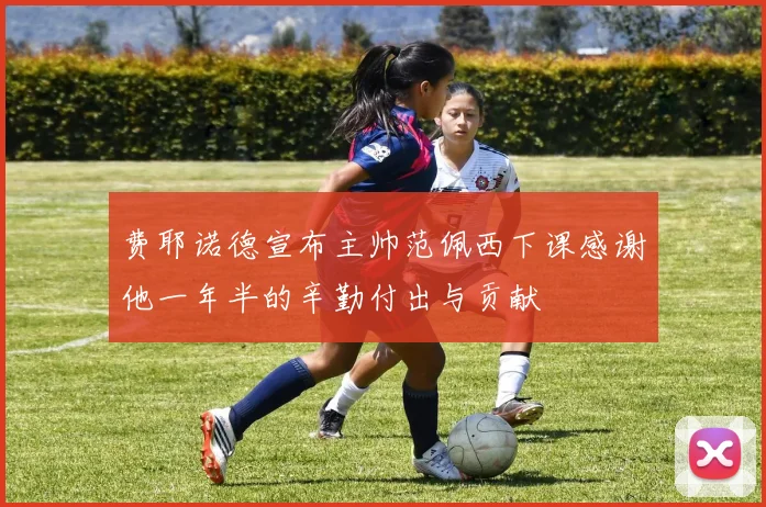 费耶诺德宣布主帅范佩西下课感谢他一年半的辛勤付出与贡献